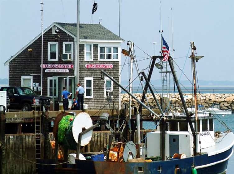 links-for-harbormaster-info-in-your-state-harbormaster-appreciation-day